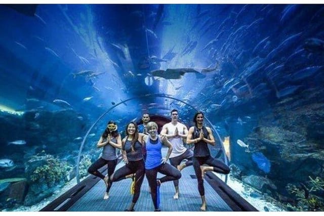 combo-dubai-mall-aquarium-skyview-observatory-tickets_1